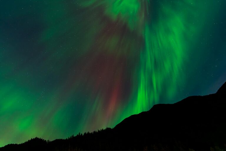 northern lights (10)
