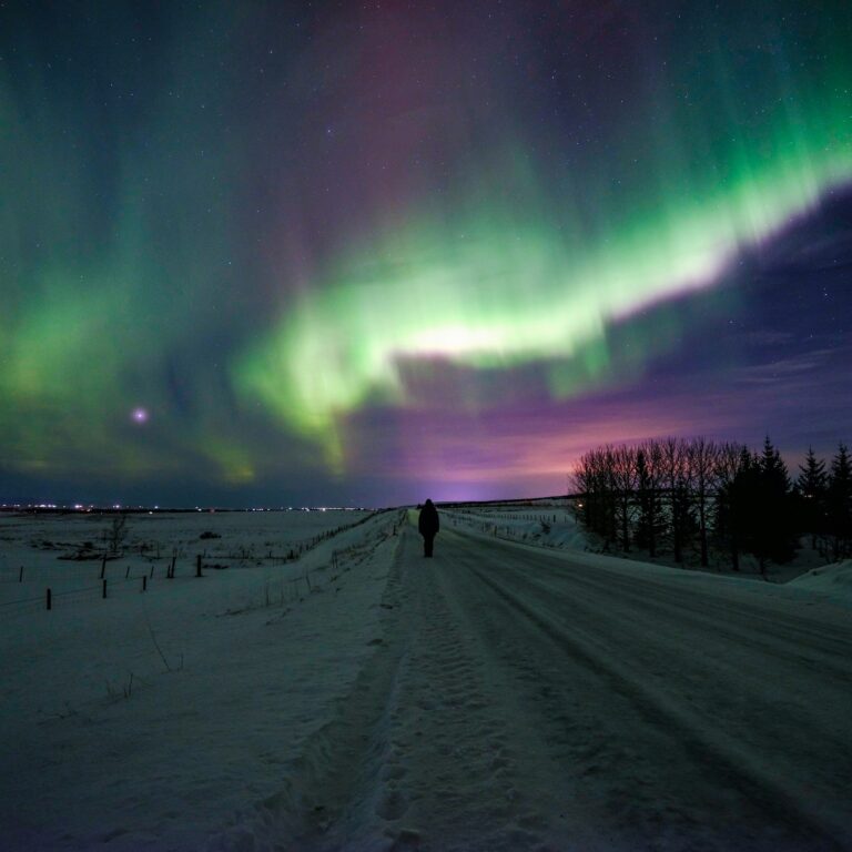 northern lights (3)