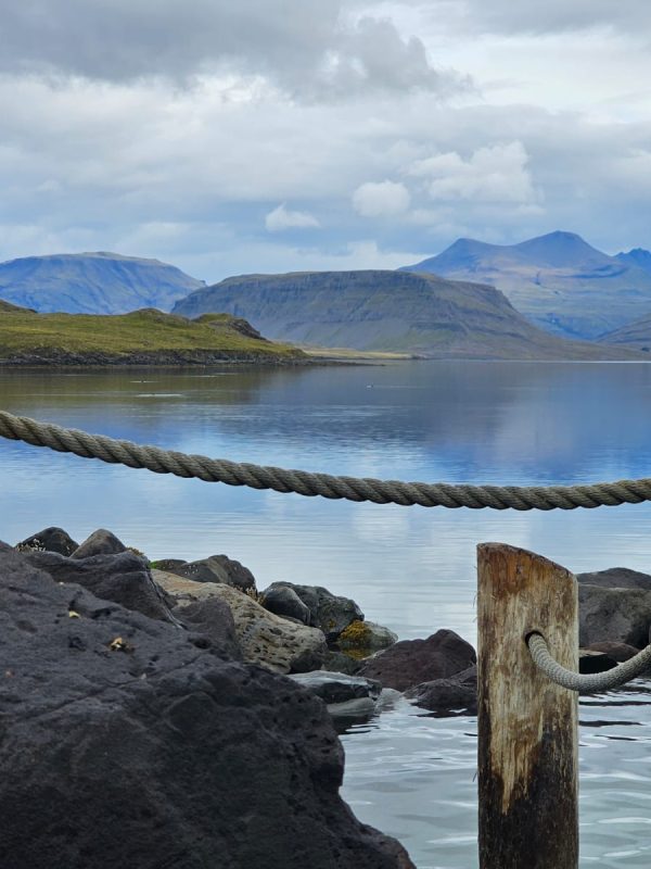 Zdjęcie WhatsApp 2025-11-28 o 18.01.02_0b948312