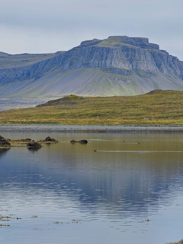 Zdjęcie WhatsApp 2025-11-28 o 18.01.13_3aec9bd5