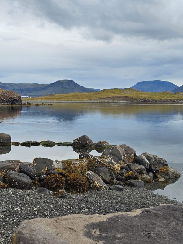 Zdjęcie WhatsApp 2025-11-28 o 18.01.30_0a8ccc37